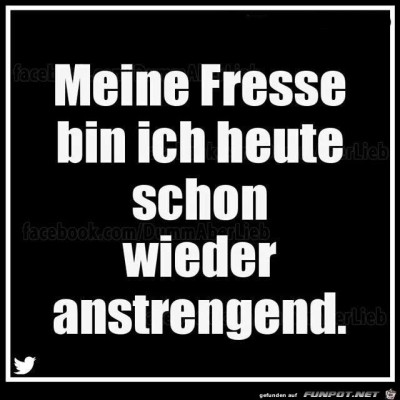 Meine-Fresse.jpg von Keule56