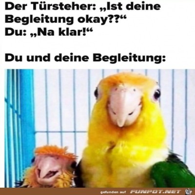 T&uuml;rsteher-hat-Bedenken.jpg von Alya
