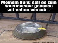 Was Gutes fr den Hund
