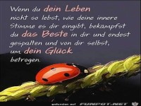 Wenn du dein Leben nicht so lebst