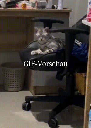 witziges Video 'Lustiges mit Hunden und Katzen' FUNPOT