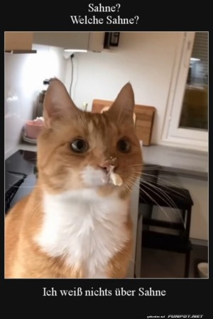 Welche-Sahne?.jpg auf www.funpot.net