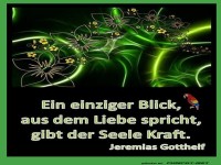 Ein einziger Blick 1