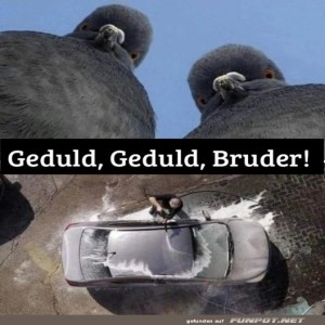 fun-Bild: Geduld, Geduld, Bruder!