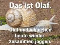 Lustige Schnecke namens Olaf