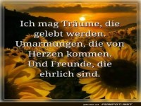 Lebendige Trume und ehrliche Freundschaften