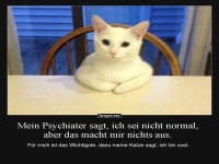 Wenn Katzen die besten Therapeuten sind
