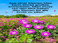 aus einer kleinen idee