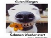 weiter