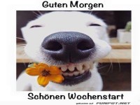Blumiges L�cheln f�r den Wochenstart!
