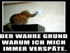weiter