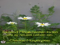 Tausend Moeglichkeiten laden uns zu neuem Leben ein Chri
