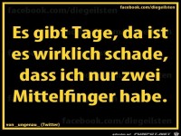 diegeilsten Mittelfinger