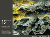 Bilddestages 13-12-16