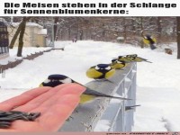 Immer sch�n anstehen