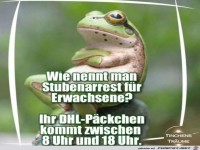 Stubenarrest