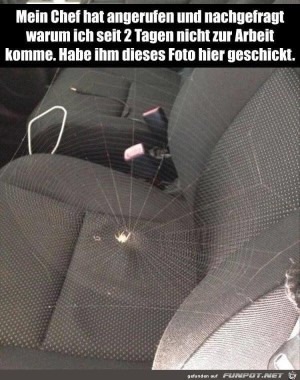 Chef-fragt,-weshalb-ich-nicht-zur-Arbeit-komme.jpg auf www.funpot.net