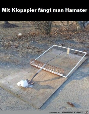 So-fngt-man-Hamster.jpg auf www.funpot.net