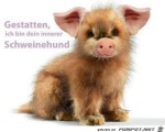 Der-innere-Schweinehund.jpg auf www.funpot.net