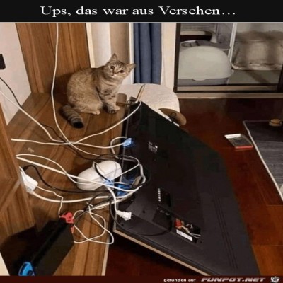 War-ein-Versehen.jpg von Finn