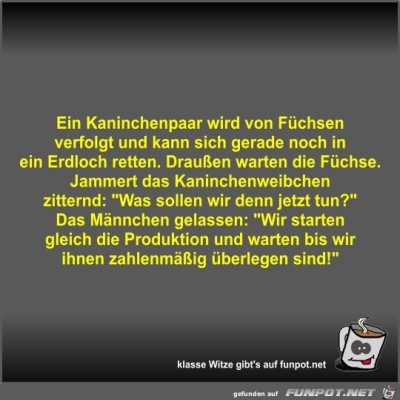 Ein-Kaninchenpaar-wird-von-Füchsen-verfolgt-und-kann-sich....jpg von Fossy