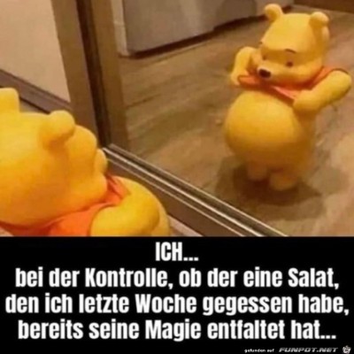 Salat-bringt-nichts.jpg von Cedric