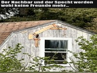 B�ser Specht