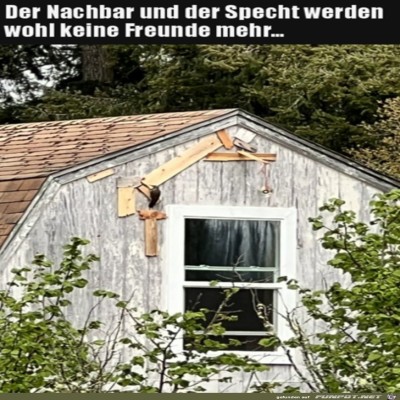 Böser-Specht.jpg von Rebecca