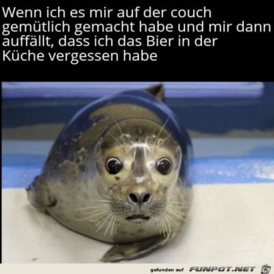 Bier-vergessen.jpg von Pina