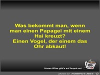 Was bekommt man, wenn man einen Papagei mit einem Hai...