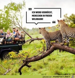 Menschen-in-freier-Wildbahn.jpg auf www.funpot.net