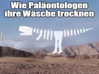 Palontologen trocknen ihre Wsche