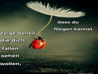 Marienk�fer hebt ab: Flieg wie ein Profi!