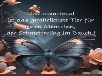 Schmetterlings-Geflster: Gefahr im Bauch!