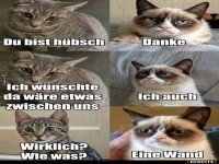 Katzensprache: Zwischenraum erw�nscht