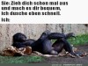 weiter
