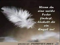 wenn du eine wei sse Feder