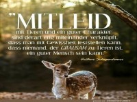 Mitleid