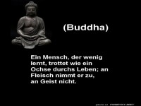 ein Mensch der wenig lernt