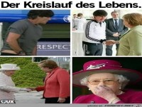 Kreislauf des Lebens