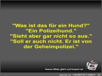 Was ist das f�r ein Hund?