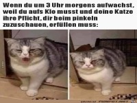 Wenn du um 3 Uhr morgens aufwachst,weil du auf�s Klo musst