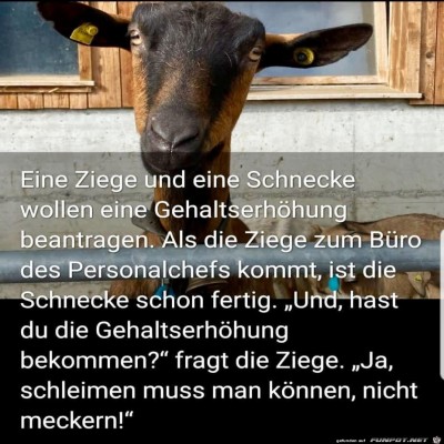 Gehaltserhoehung.jpg von Alex