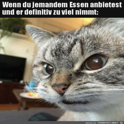Zu-viel-vom-Essen-genommen.jpg von Ida