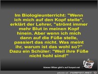 Im Biologieunterricht