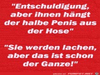 Der halbe Penis