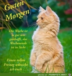 Die-Woche-ist-fast-so-wie-geschafft.jpg auf www.funpot.net