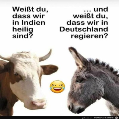 Nettes-Gespr&auml;ch.jpg von babs