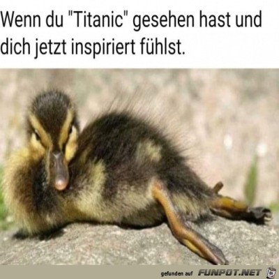 Cooles-Entlein.jpg von Malou