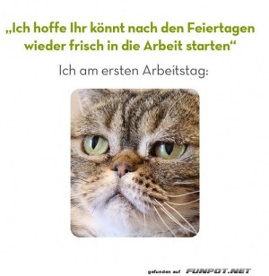 Frisch-in-die-Arbeit-starten.jpg auf www.funpot.net